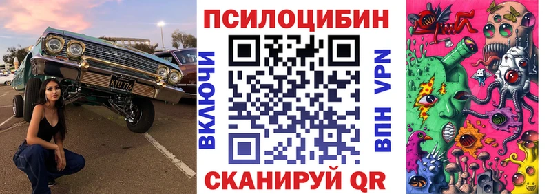 Псилоцибиновые грибы MAGIC MUSHROOMS как найти закладки Сочи