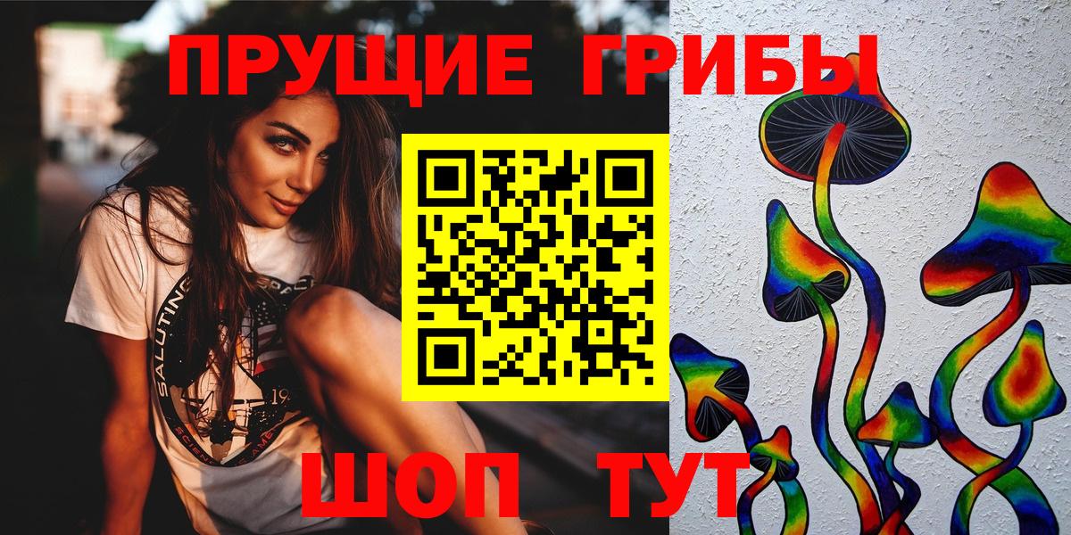 Псилоцибиновые грибы MAGIC MUSHROOMS  Вход с VPN  Сочи 