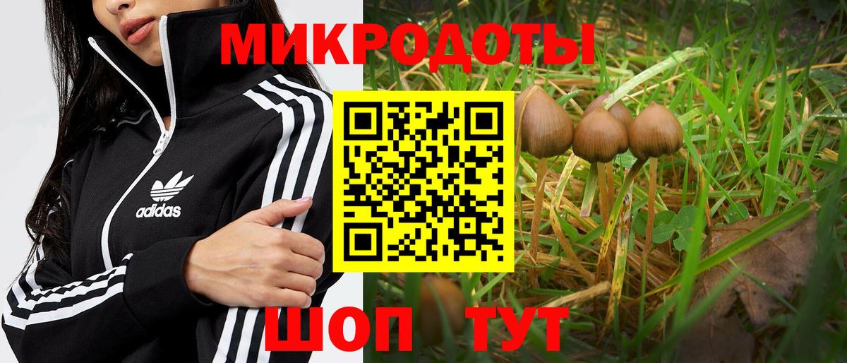 Псилоцибиновые грибы ЛСД Сочи